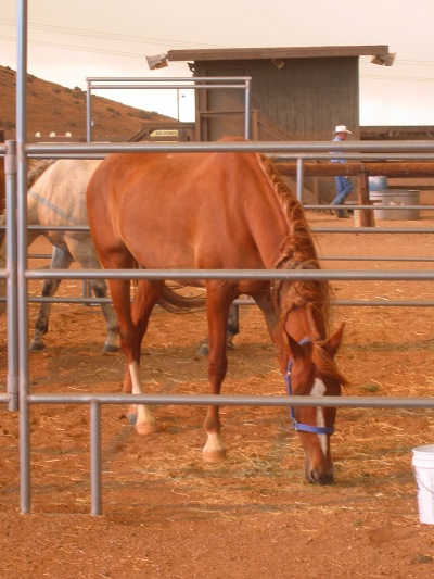 Prim wondering where she is and what she did to get there. 