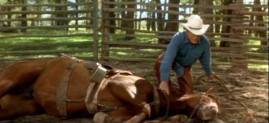 A key scene in "The Horse Whisperer" that lasted about a third of a second on screen.  Robert Redford (or maybe Buck Brannaman, a real-life whisperer and Redford's stunt double), lays the horse down.  (Photo courtesy of  www.fanpop.com)
